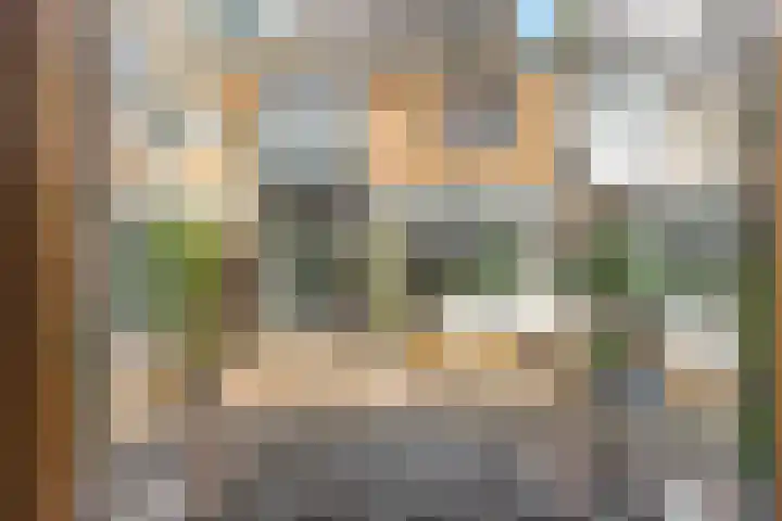 Heilooërdijk 95 Alkmaar thumbnail 13