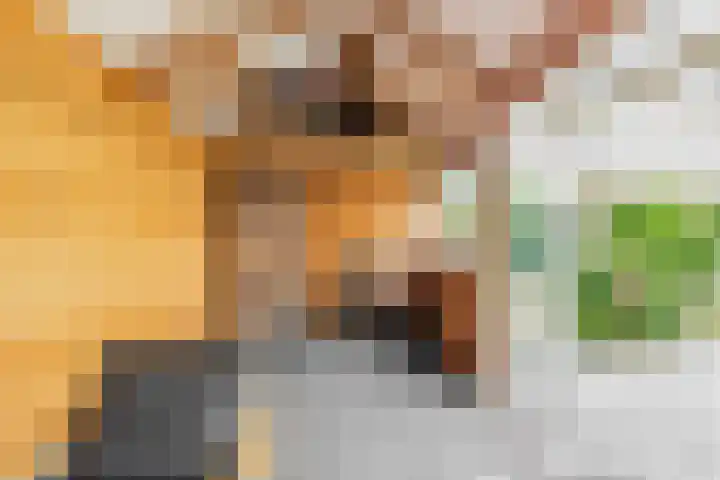 Heilooërdijk 95 Alkmaar thumbnail 14