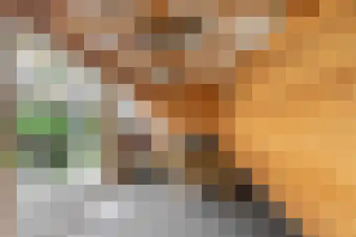 Heilooërdijk 95 Alkmaar thumbnail 15