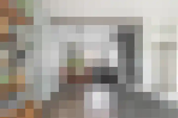 Heilooërdijk 95 Alkmaar thumbnail 16