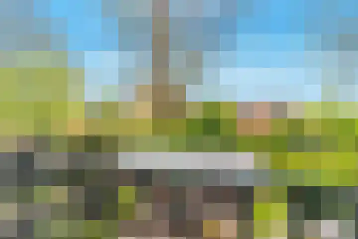 Heilooërdijk 95 Alkmaar thumbnail 19