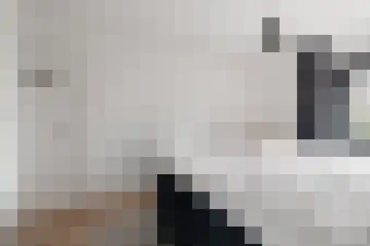 Heilooërdijk 95 Alkmaar thumbnail 20