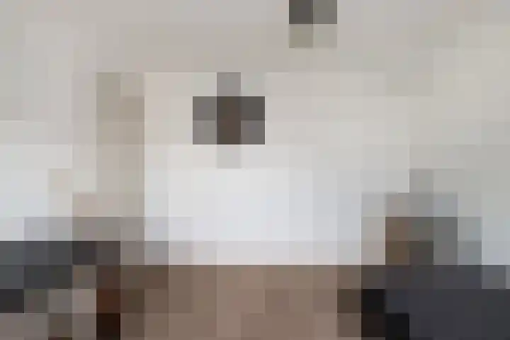 Heilooërdijk 95 Alkmaar thumbnail 23