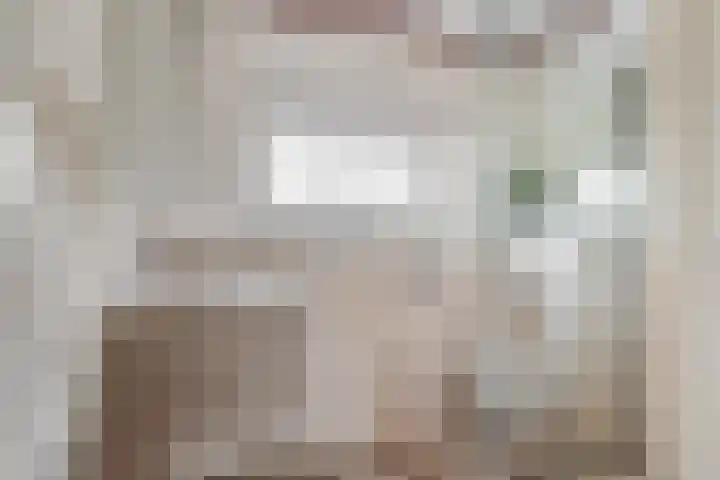 Heilooërdijk 95 Alkmaar thumbnail 24