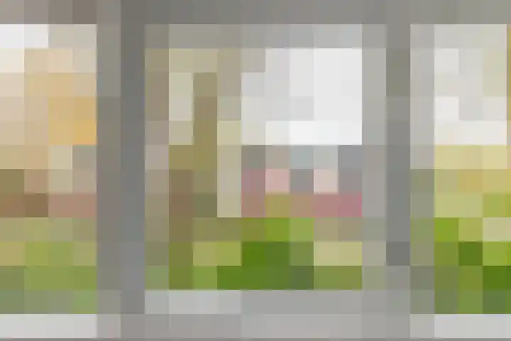 Heilooërdijk 95 Alkmaar thumbnail 31