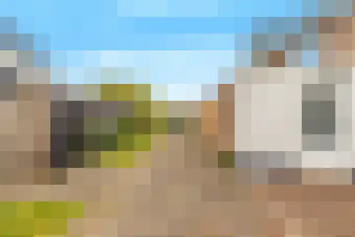 Heilooërdijk 95 Alkmaar thumbnail 33