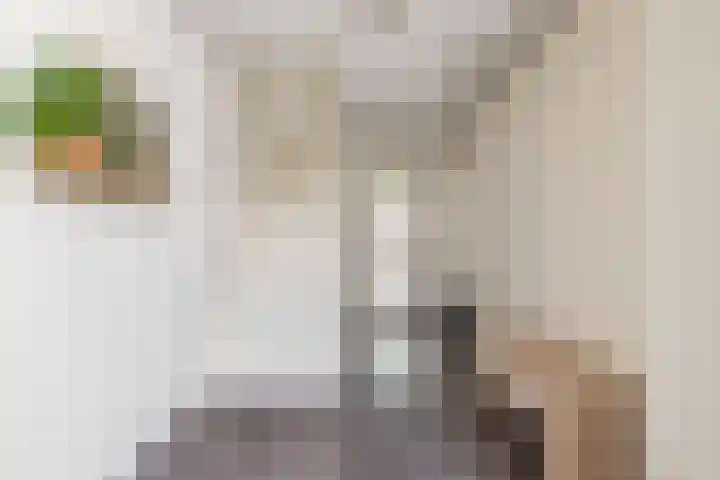 Heilooërdijk 95 Alkmaar thumbnail 5