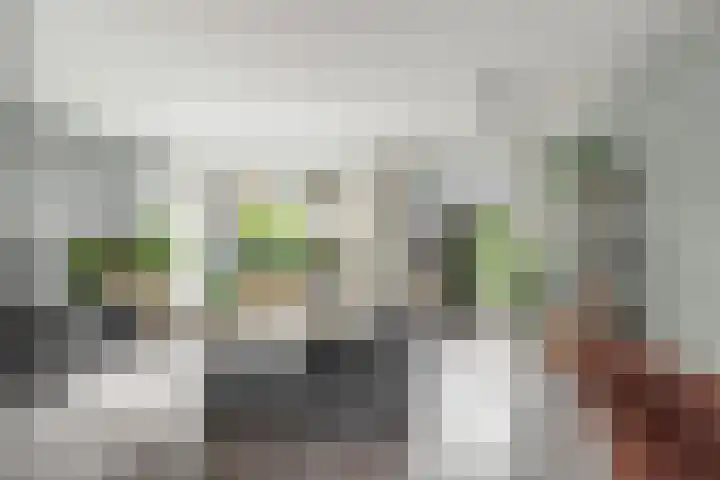 Heilooërdijk 95 Alkmaar thumbnail 6