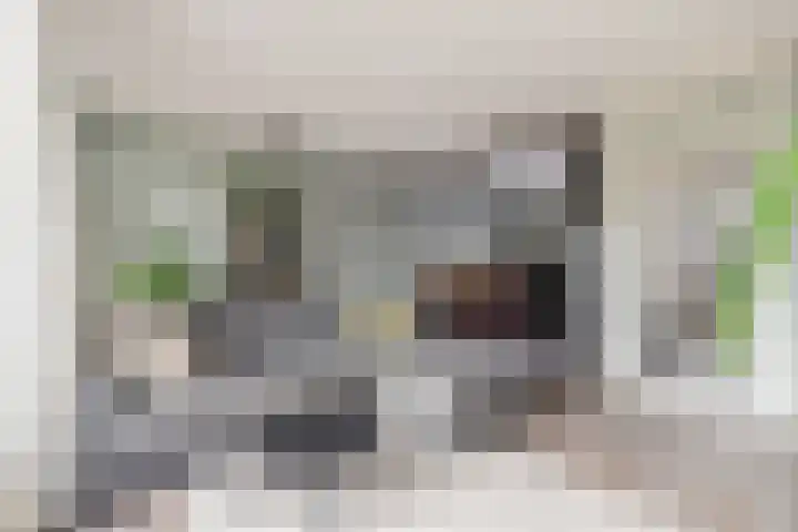 Heilooërdijk 95 Alkmaar thumbnail 7