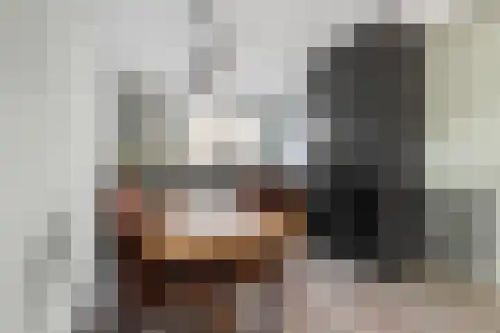 Heilooërdijk 95 Alkmaar thumbnail 8