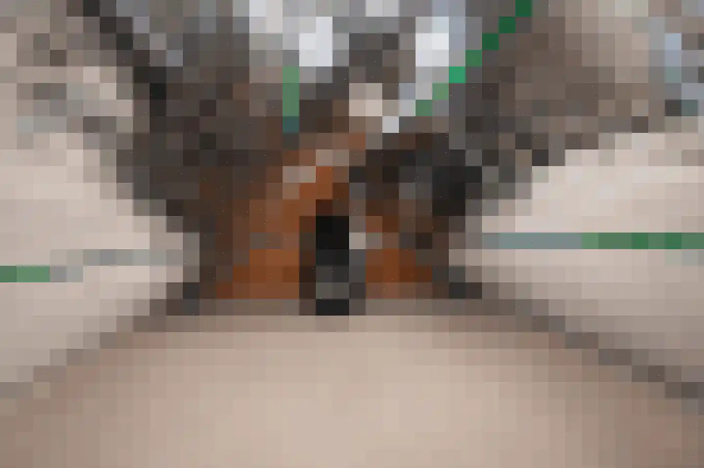 Heiloopweg 2 Abbega thumbnail 20