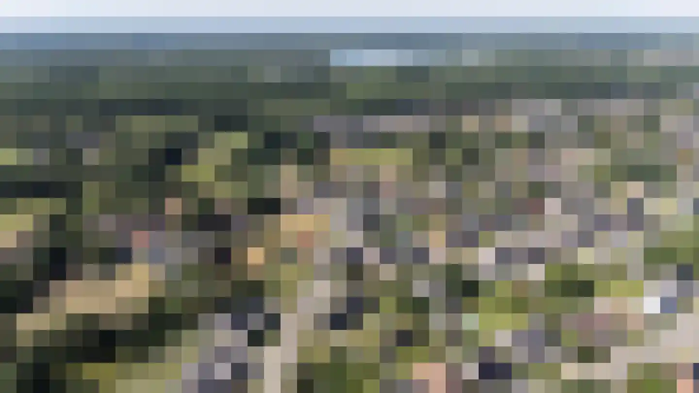 Heiloopweg 2 Abbega thumbnail 27