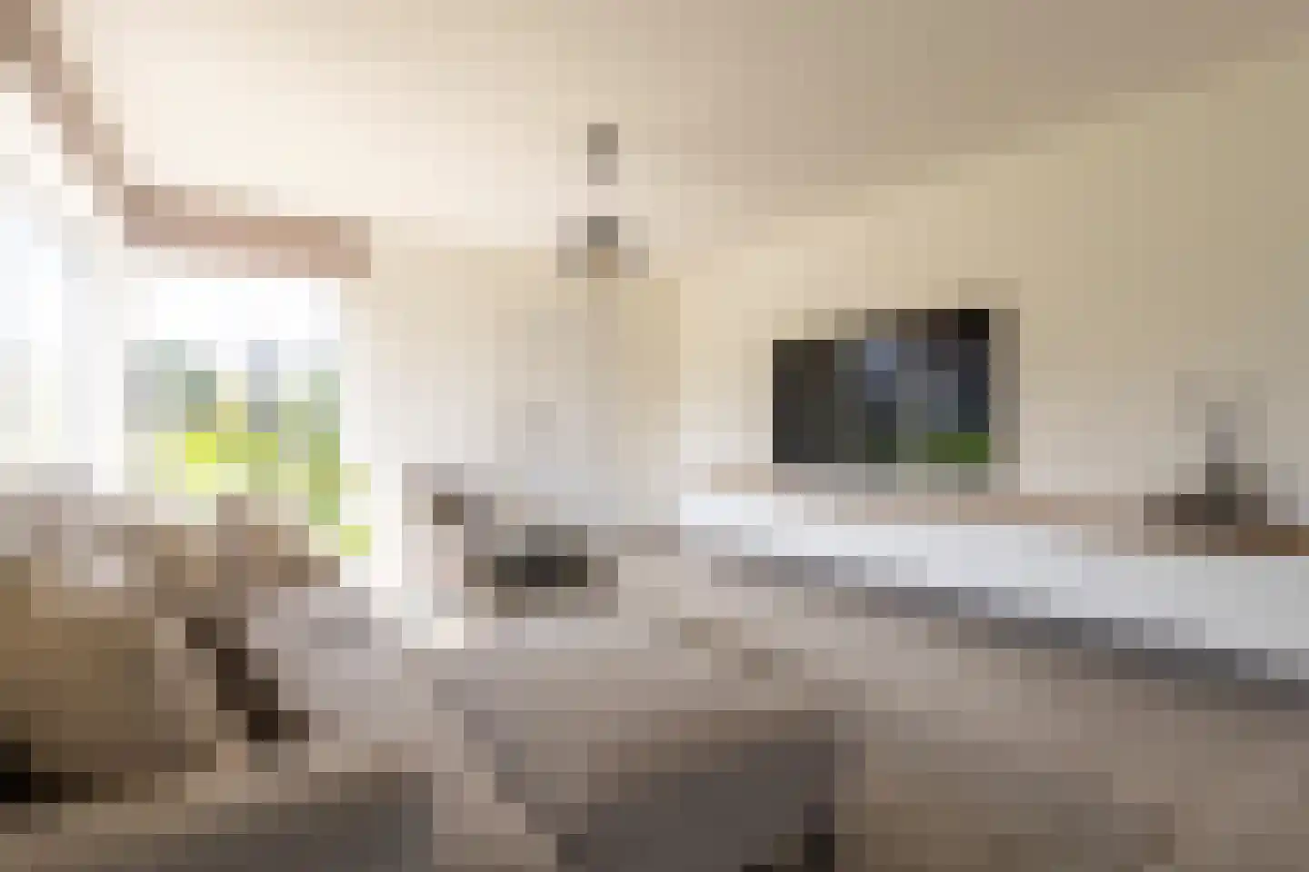Heiloopweg 2 Abbega thumbnail 4