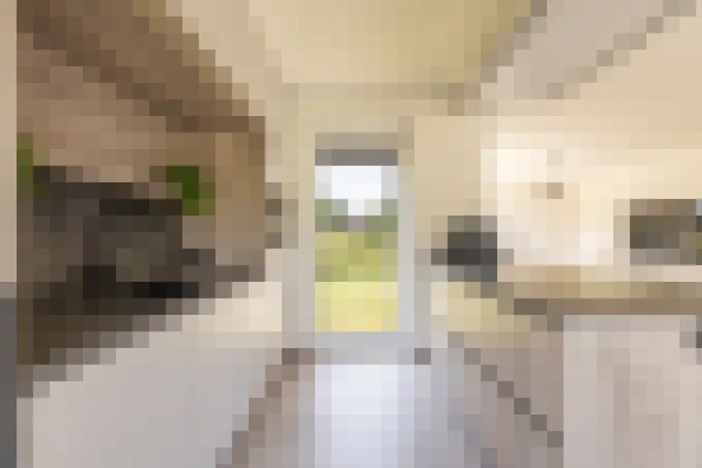 Heiloopweg 2 Abbega thumbnail 8