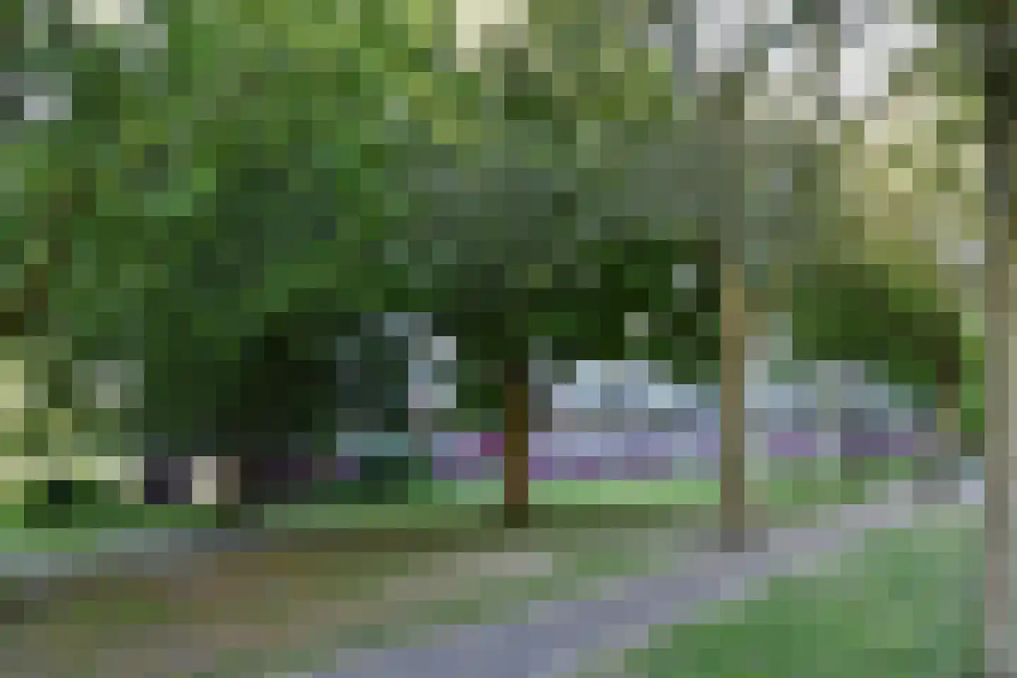Heiloostraat 185 Den Haag thumbnail 41