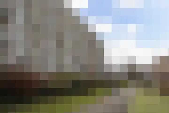 Heiloostraat 275 in Den Haag