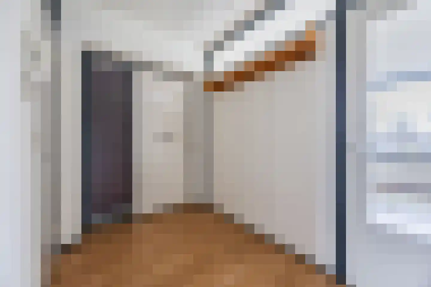 Heiloostraat 345 Den Haag thumbnail 9