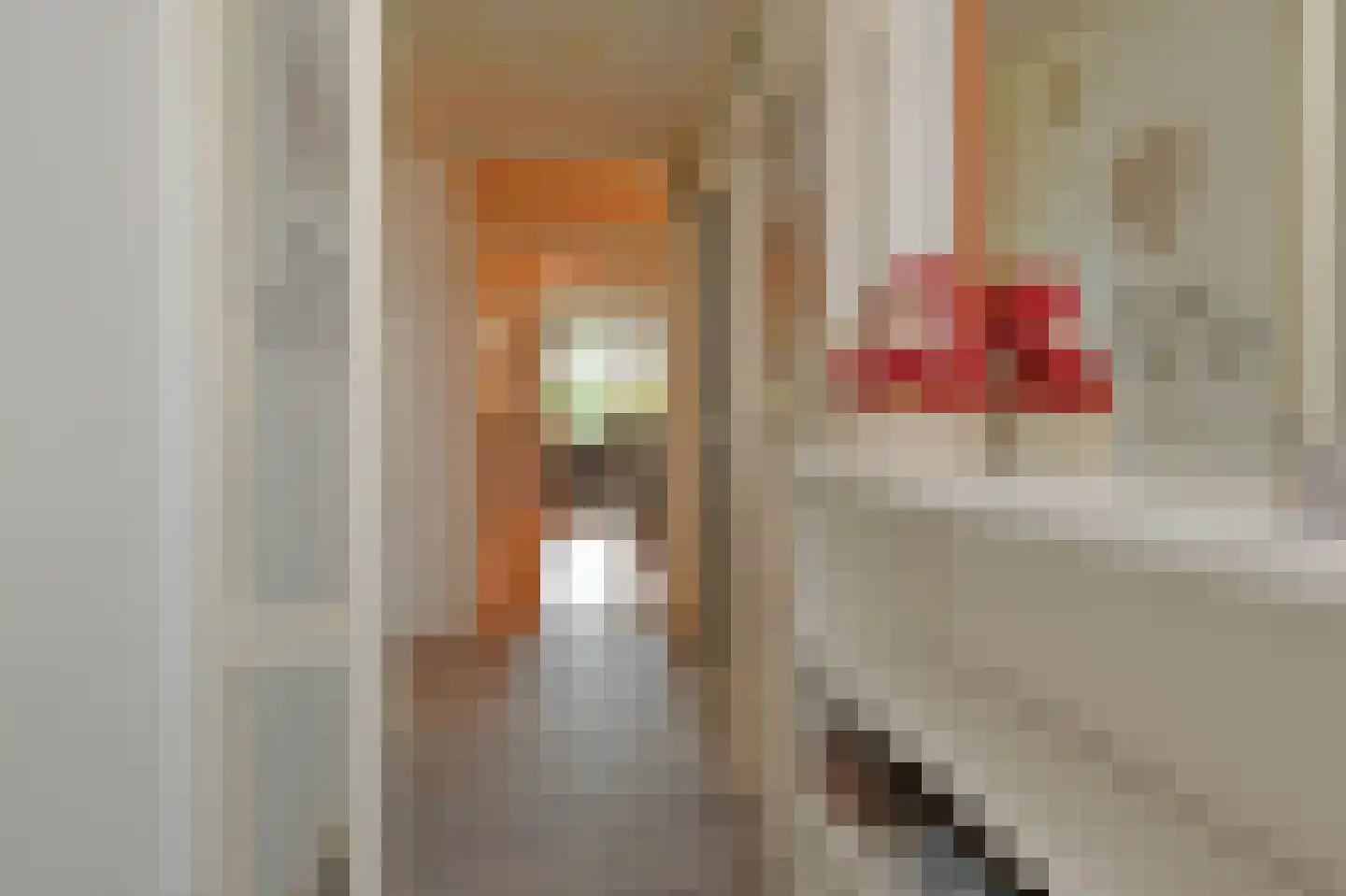 Heiloostraat 89 Den Haag thumbnail 7
