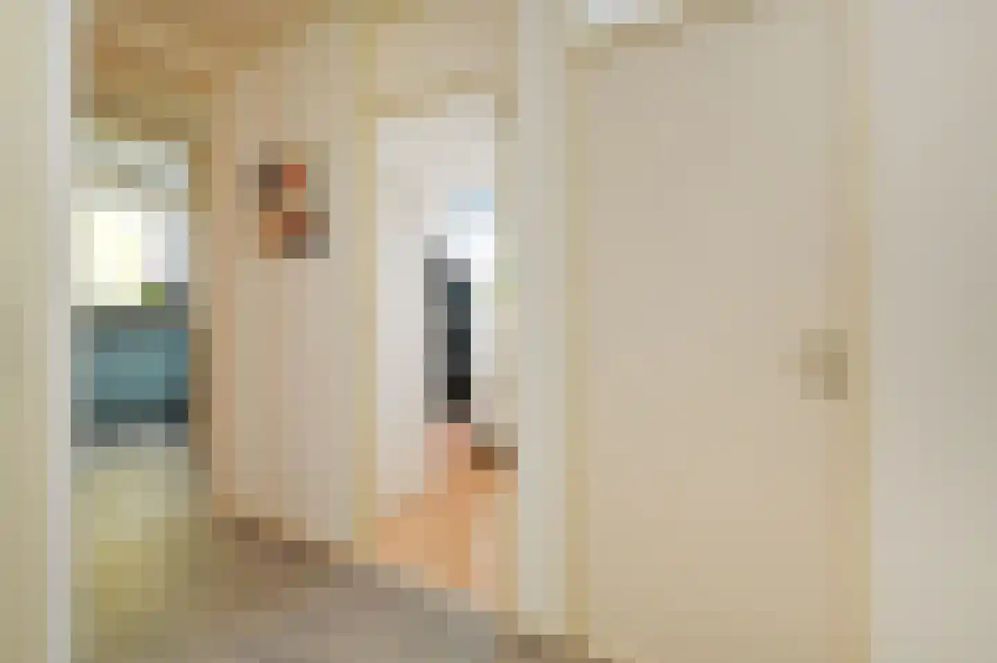 Heiloostraat 89 Den Haag thumbnail 8