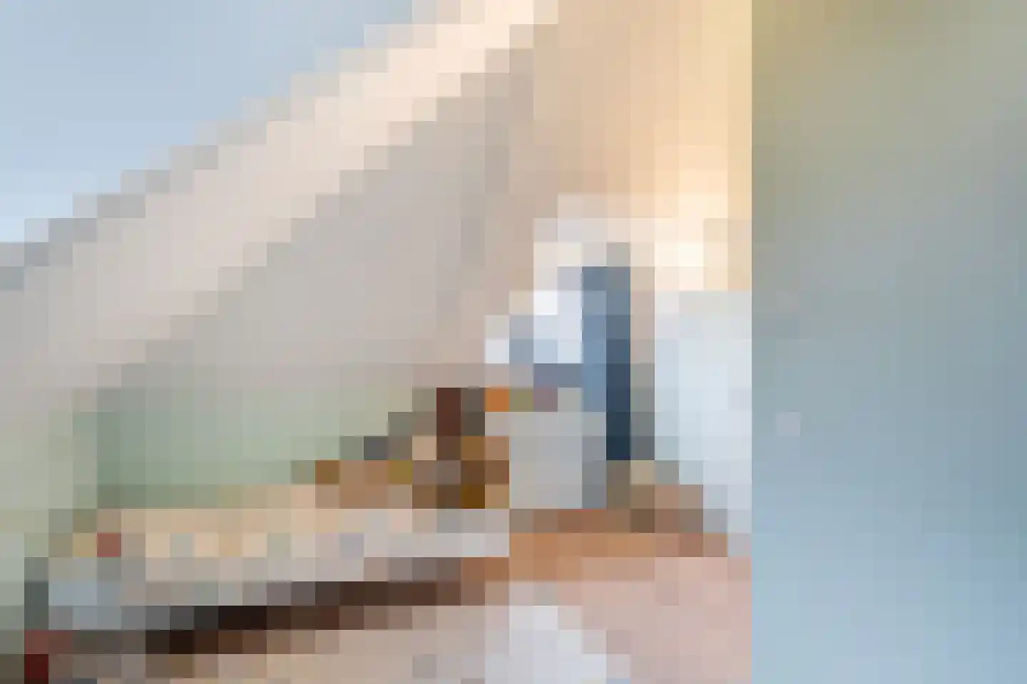 Heiltje de Vos-Krulstraat 12 Rotterdam thumbnail 37