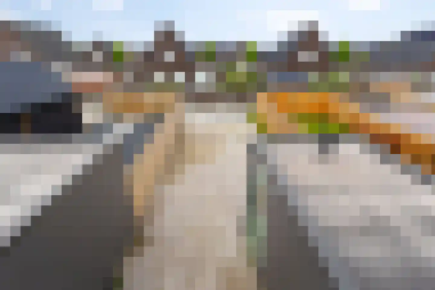 Heiman Akkerstraat 26 Appingedam thumbnail 31
