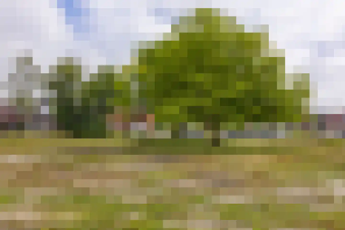 Heiman Akkerstraat 26 Appingedam thumbnail 38