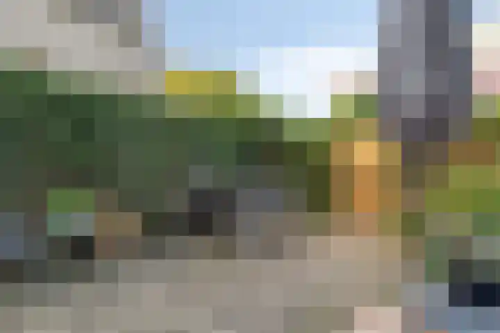 Heimans-serre 14 Amersfoort thumbnail 31