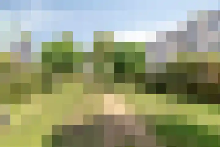 Heimans-serre 14 Amersfoort thumbnail 33