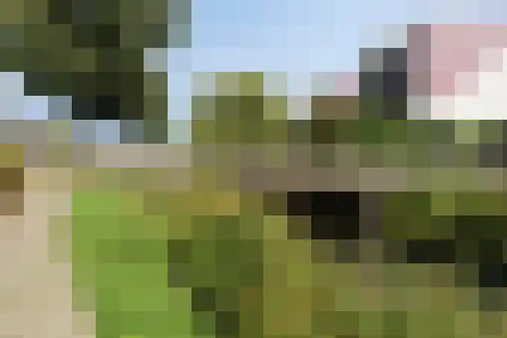 Heimans-serre 14 Amersfoort thumbnail 34