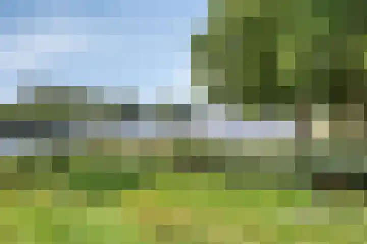 Heimans-serre 14 Amersfoort thumbnail 37