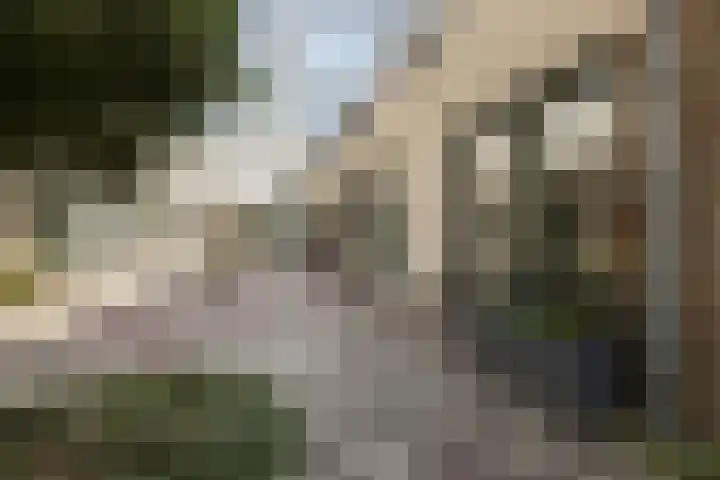 Heimans-serre 14 Amersfoort thumbnail 6