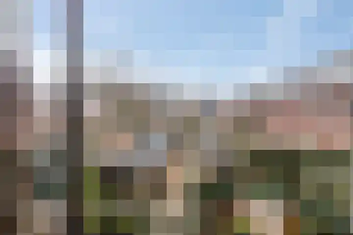 Heimanslaan 13 Ede thumbnail 22