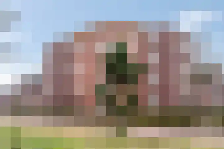 Heimanslaan 13 Ede thumbnail 31