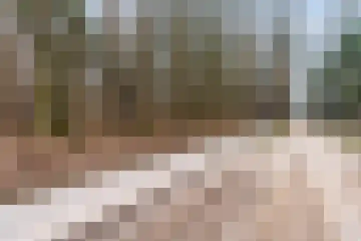 Heimanslaan 13 Ede thumbnail 32