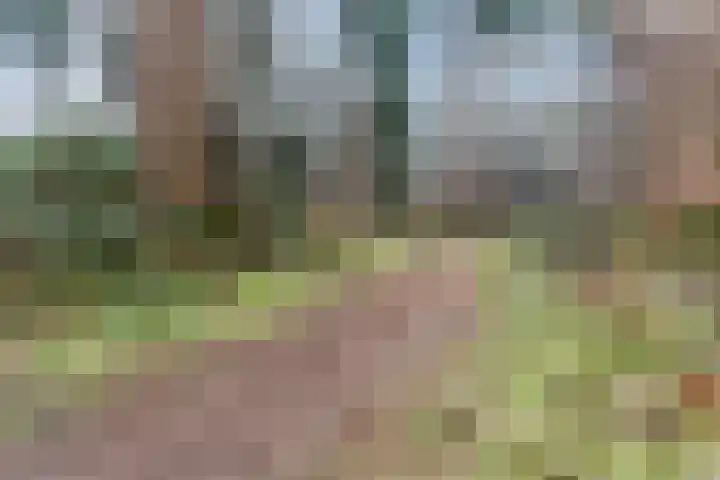 Heimanslaan 13 Ede thumbnail 33
