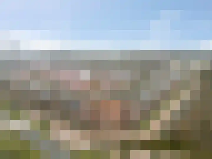 Heimanslaan 13 Ede thumbnail 7