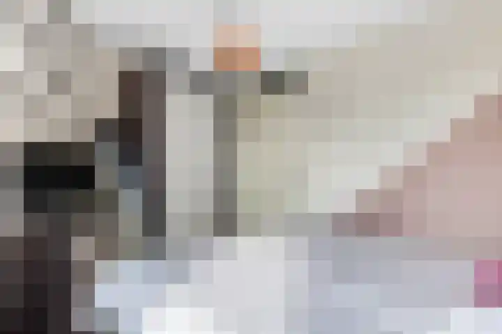 Heimanslaan 23 Ede thumbnail 11