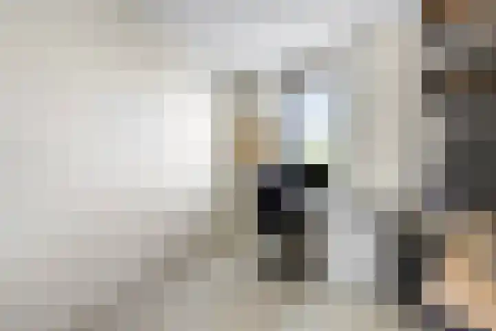 Heimanslaan 23 Ede thumbnail 12