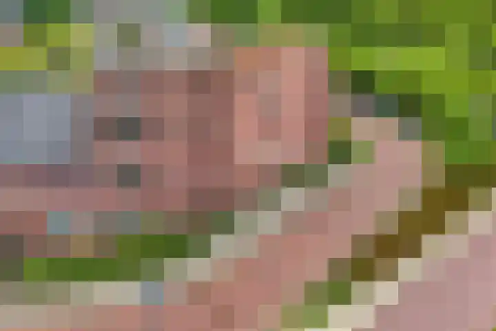 Heimanslaan 23 Ede thumbnail 33