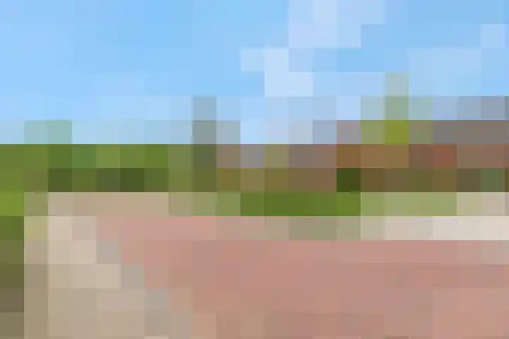 Heimanslaan 23 Ede thumbnail 38