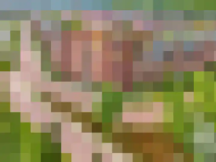 Heimanslaan 23 Ede thumbnail 43