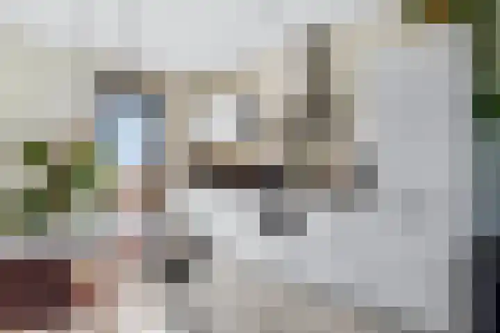 Heimanslaan 23 Ede thumbnail 7