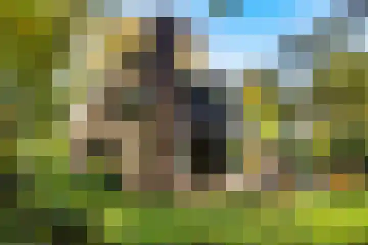 Heimanslaan 28 Wageningen thumbnail 51