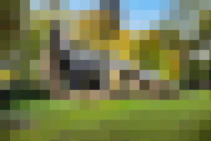 Heimanslaan 28 Wageningen thumbnail 52