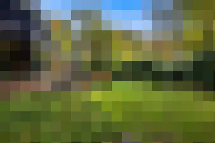 Heimanslaan 28 Wageningen thumbnail 53