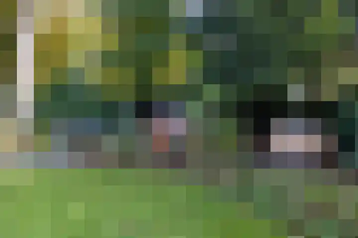 Heimanslaan 28 Wageningen thumbnail 55