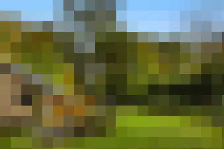 Heimanslaan 28 Wageningen thumbnail 58