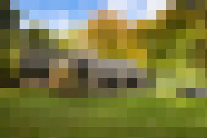 Heimanslaan 28 Wageningen thumbnail 59