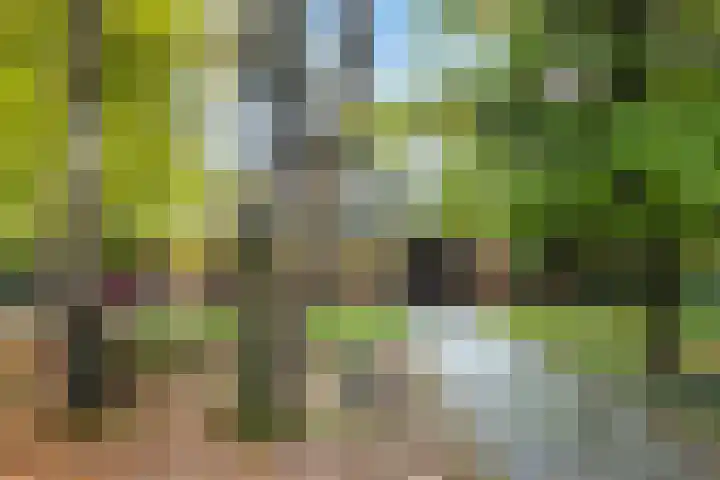 Heimanslaan 28 Wageningen thumbnail 62