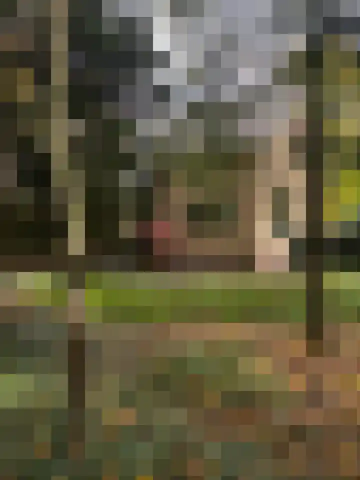 Heimanslaan 28 Wageningen thumbnail 63
